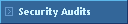 Security Audits