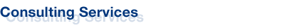 Consulting Services