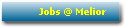Jobs @ Melior