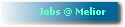 Jobs @ Melior