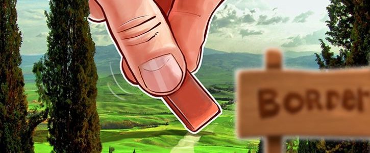 Blockwart: Initial Country Offering as Next Big Thing For ICOs
