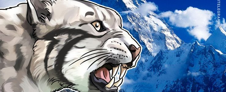 Russian/Georgian Success: Mining Hardware Maker Bitfury Raises $80 Million in Closed Funding Round
