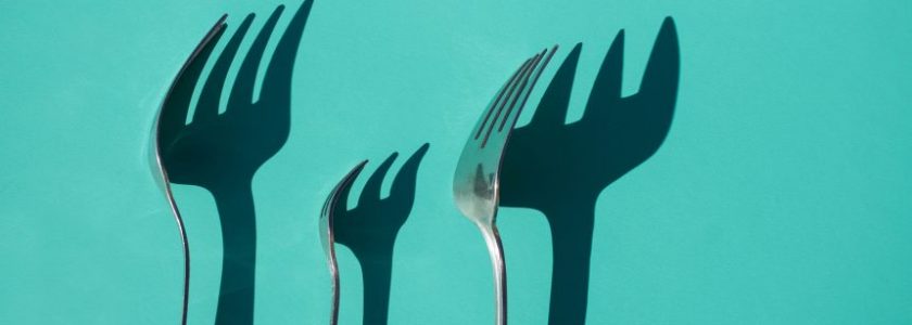 How to Watch the Bitcoin Cash Fork As It Happens: Bitcoin ABC vs Bitcoin SV at 16:40 UTC on NOV 15