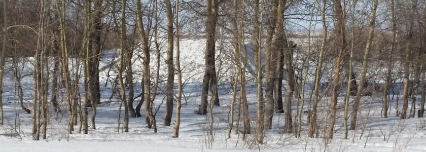 The US Army’s New Camouflage Will Hide Soldiers And Tanks In Plain Sight Wherever They Are