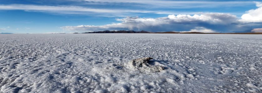 Deutschland sichert sich Zugang zum größten Lithium-Vorkommen weltweit